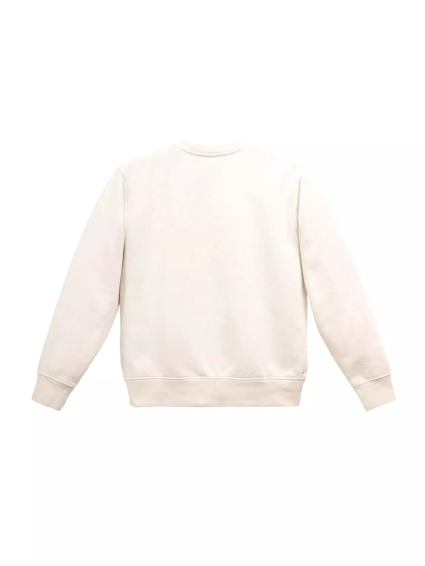 Basic Crewneck Sweatshirt