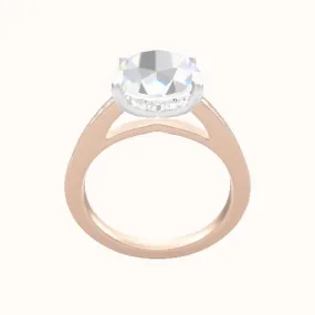 Micropave Cathedral Engagement Ring With Low Set Pave  Hidden Halo Head